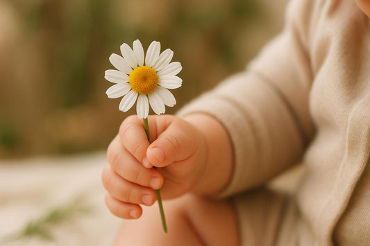 Ultimate Guide to Herbal Teething Aids